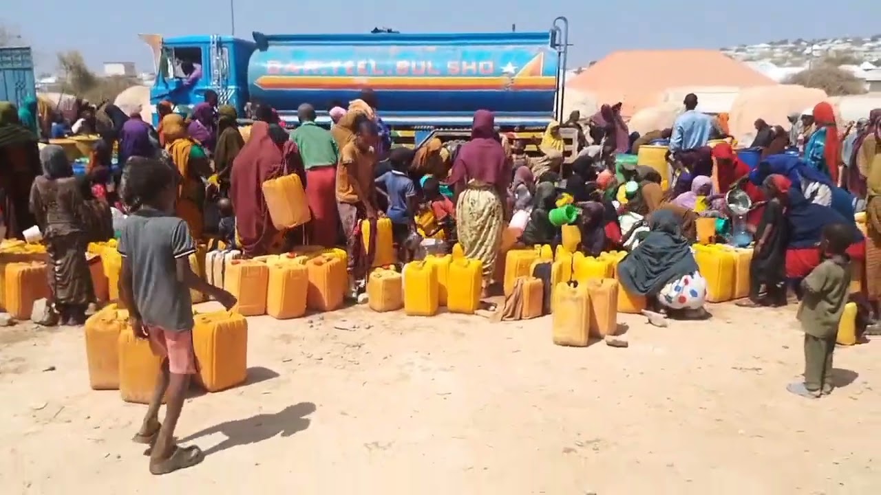 Asc dhaman walalaha muxsininta ah waxan idin lenahay nagala qayb qata cawinta walalaheen tabalaysan 