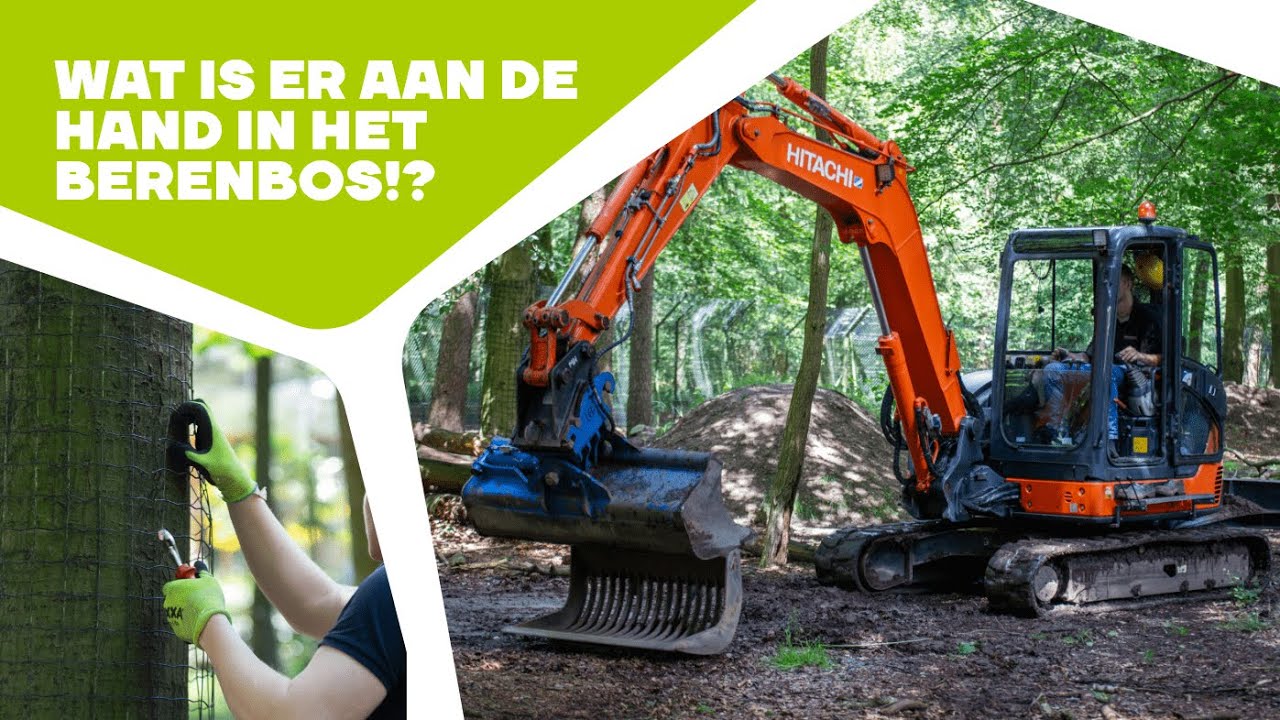 🌳 HET BERENBOS ONDERSTEBOVEN | Werkzaamheden in Ouwehands Dierenpark