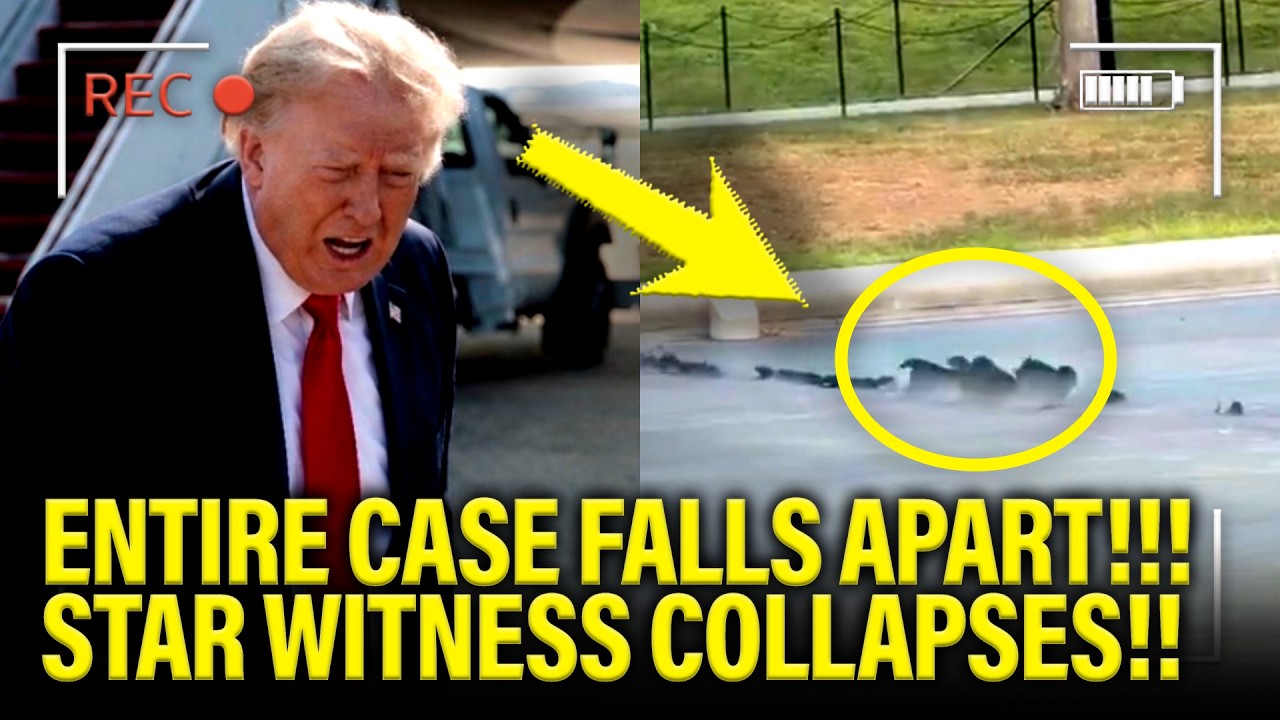 Trump BLOWS UP Reflecting Pool Case as STAR WITNESS CRASHES!!!