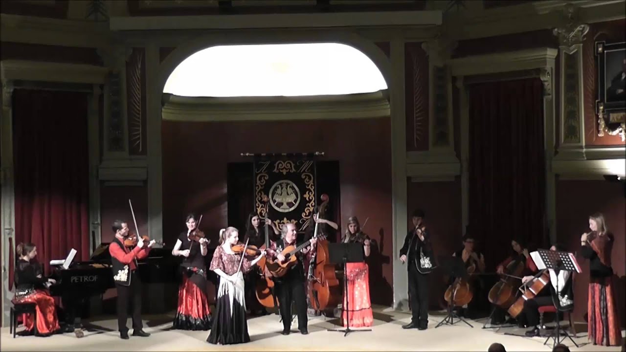 Violons Tziganes - Hora romanesca
