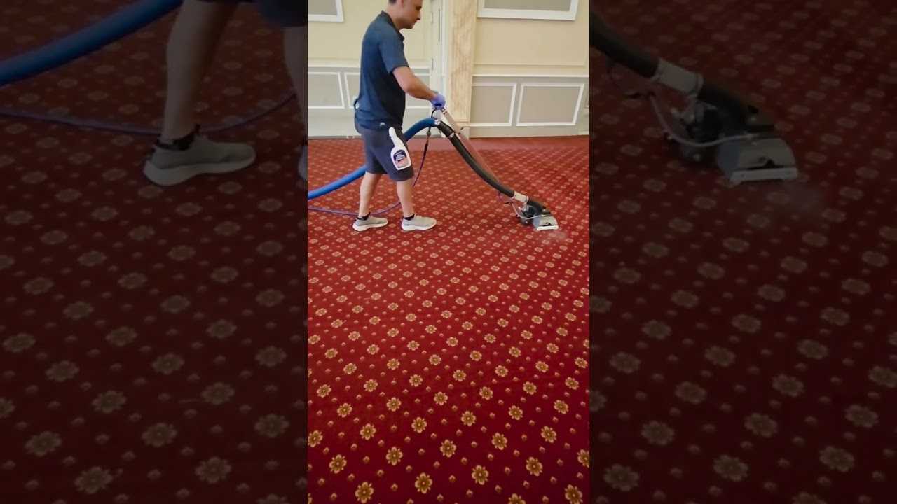 Carpet cleaning with our  Zipper wand