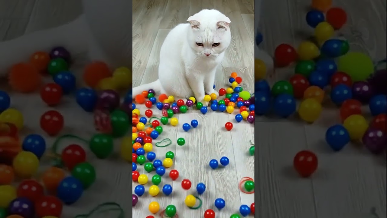 Barsik the Cat Makes Beads in Reverse 💜🧡✨ 