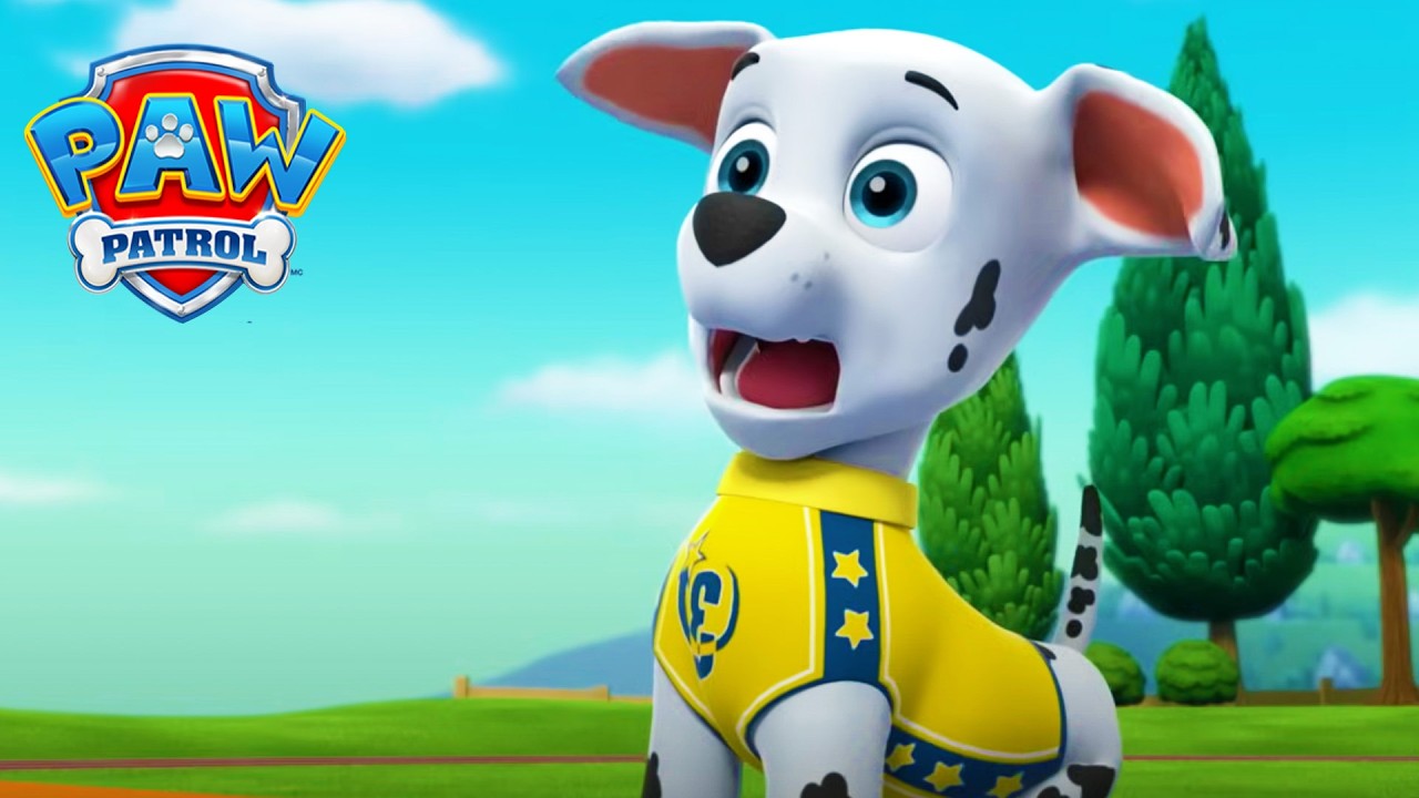 Das beste Basketballteam in Adventure Bay! 🏀- PAW Patrol Germany - Cartoons für Kinder