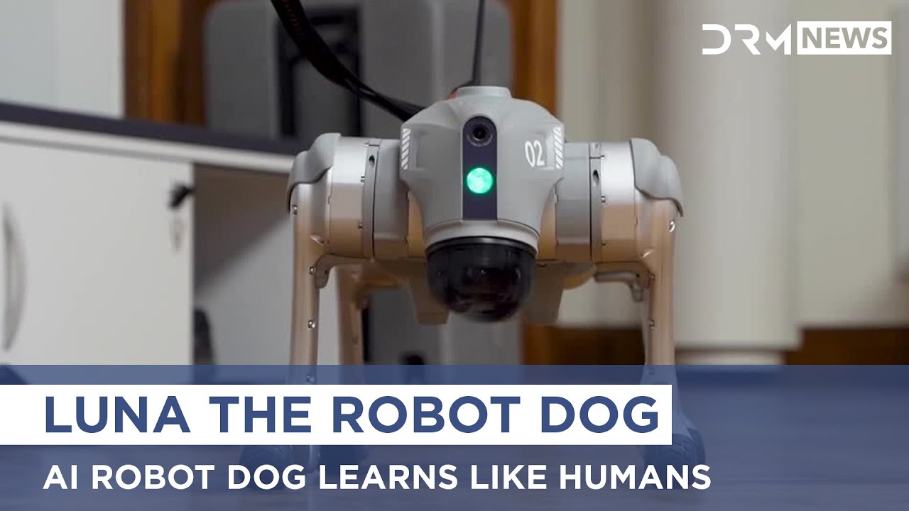 Как робот-собака Луна может изменить космические исследования | AI1G