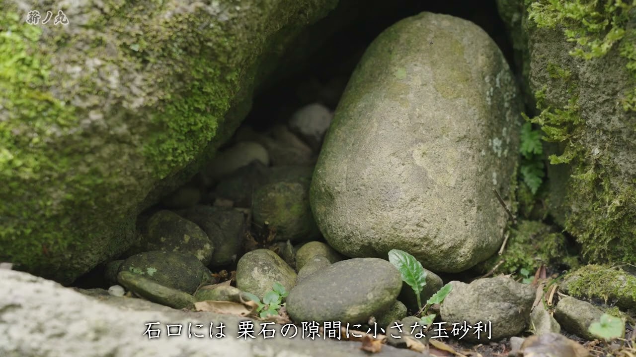 「石垣の博物館」金沢城　城の外周を巡る