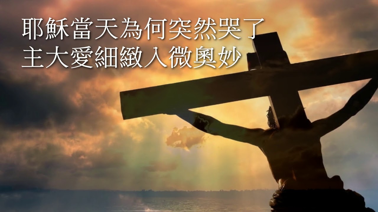 粵語詩歌 - 耶穌為何哭了 - 願主賜香港平安 - 香港之歌 Official MV
