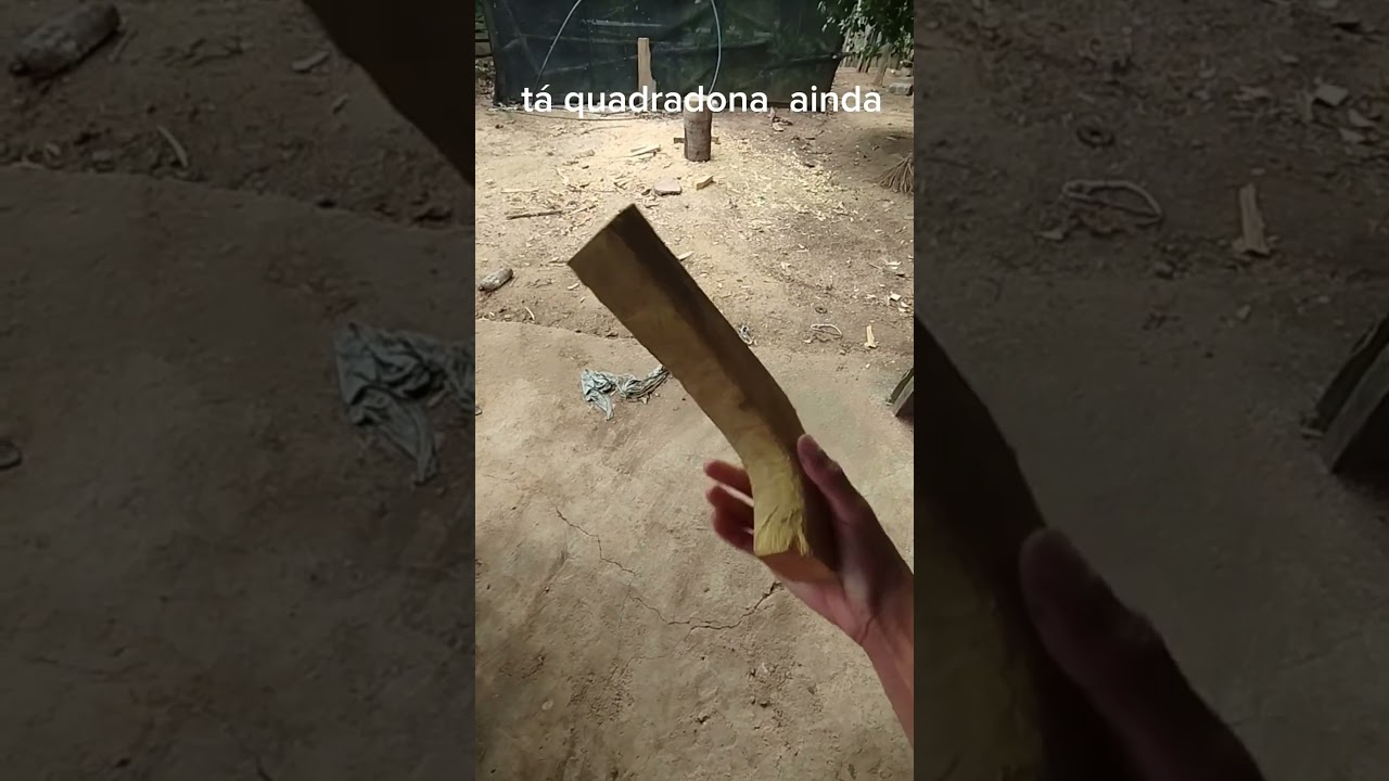 coronha de jaqueira pra garrucha