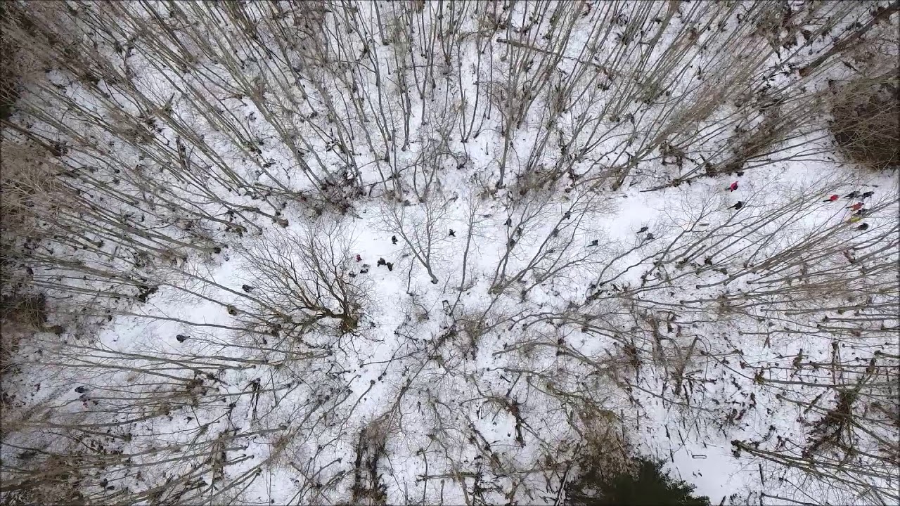 Corgide Kevadp&auml;ev