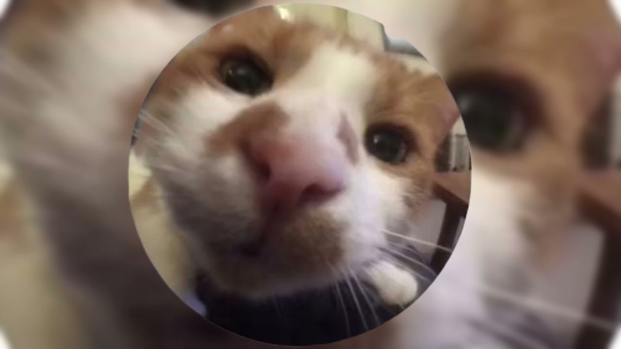 Casin - glue70 (Super slowed)