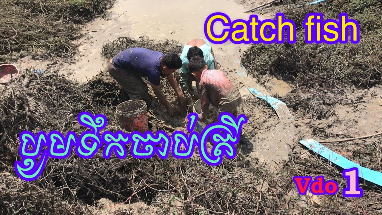 បូមទឹកចាប់ត្រី_Catch fish