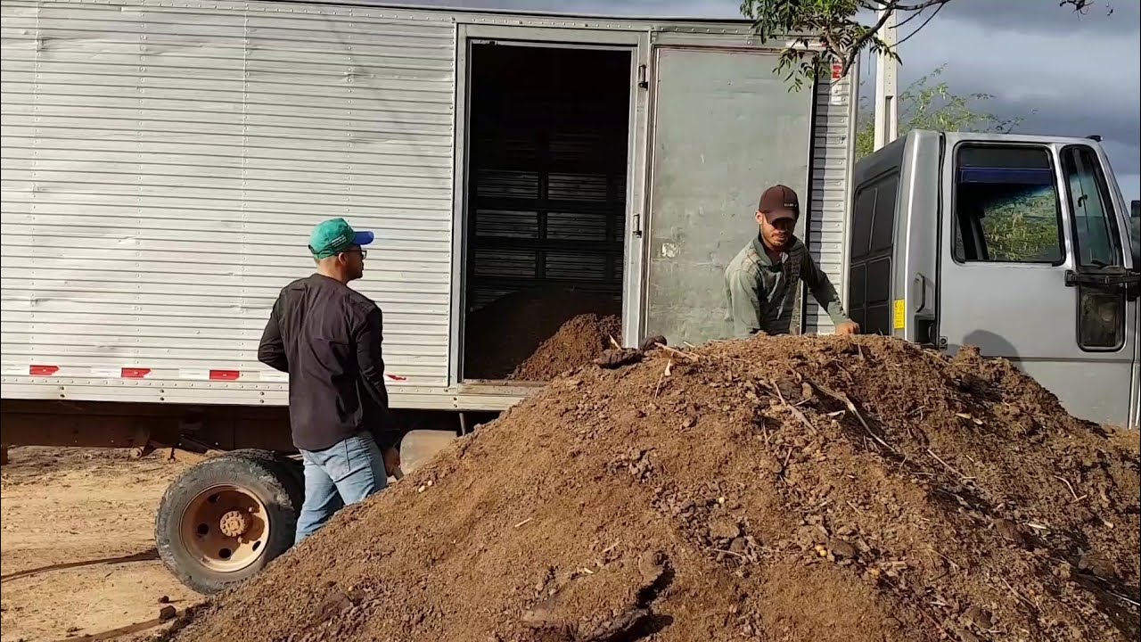 BUSCANDO ADUBO DE VACA PARA PLANTAÇÃO! MUITA AVENTURA E COMÉDIA