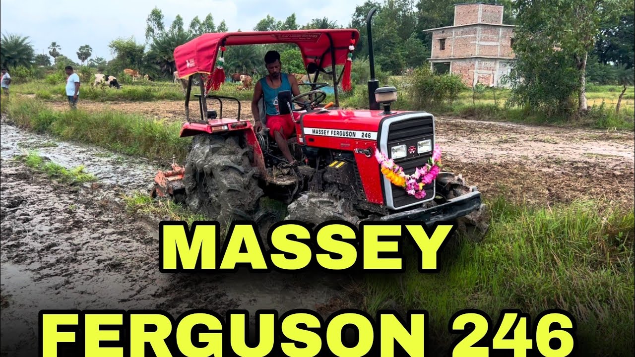 Massey Farguson 246||Massey Ferguson 246Dynatrack
