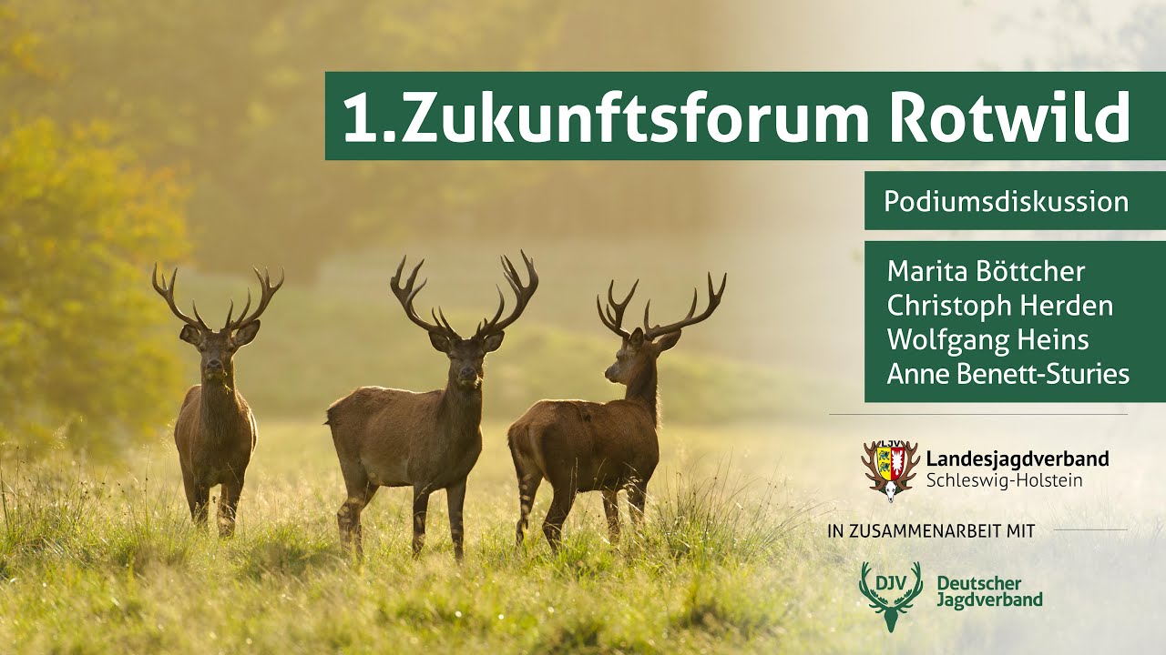 Zukunftsforum Rotwild | Teil 11: Podiumsdiskussion