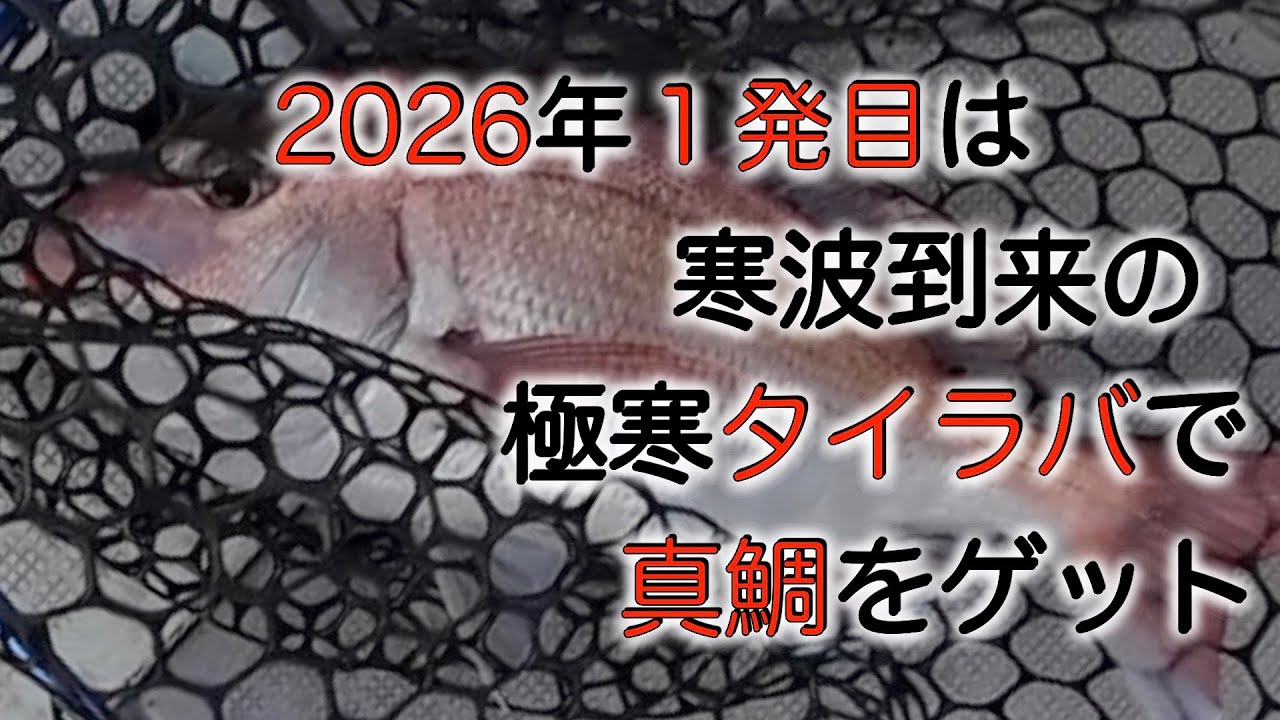 2026年1発目は、大寒波到来の極寒タイラバで真鯛を狙う！