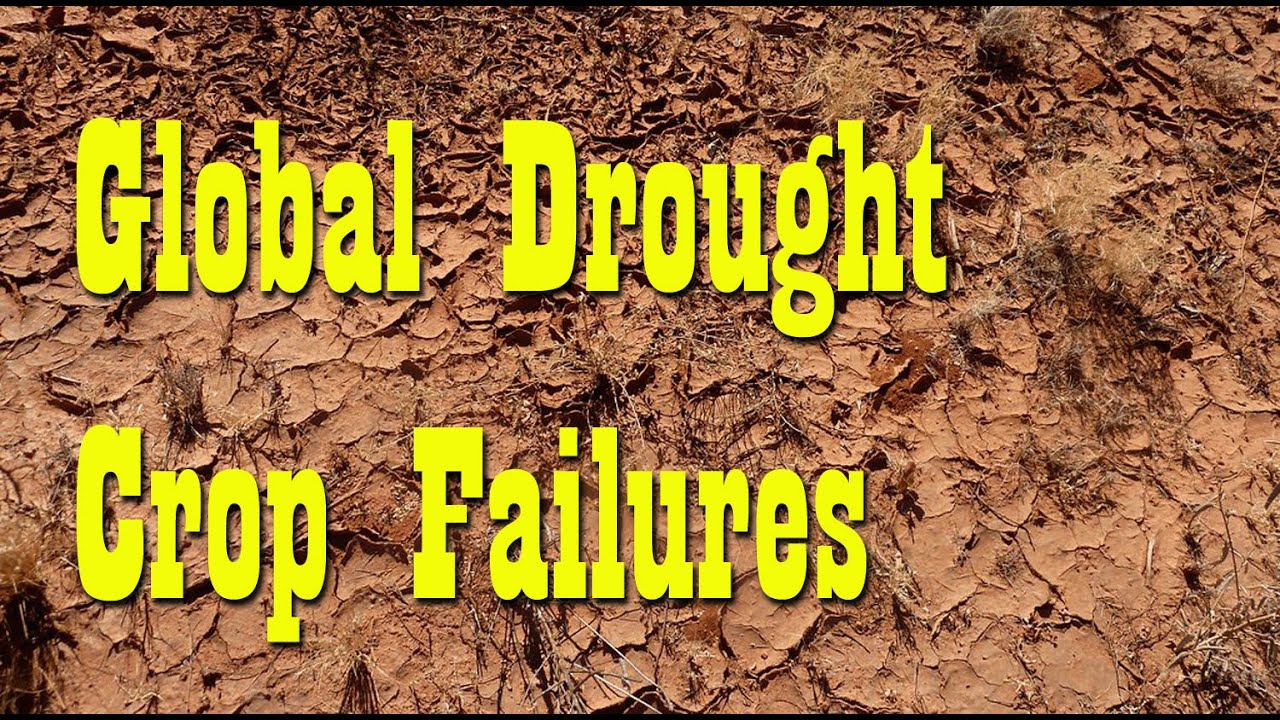 Drought causing Global Crop Failures ~ Stock Up While you can!