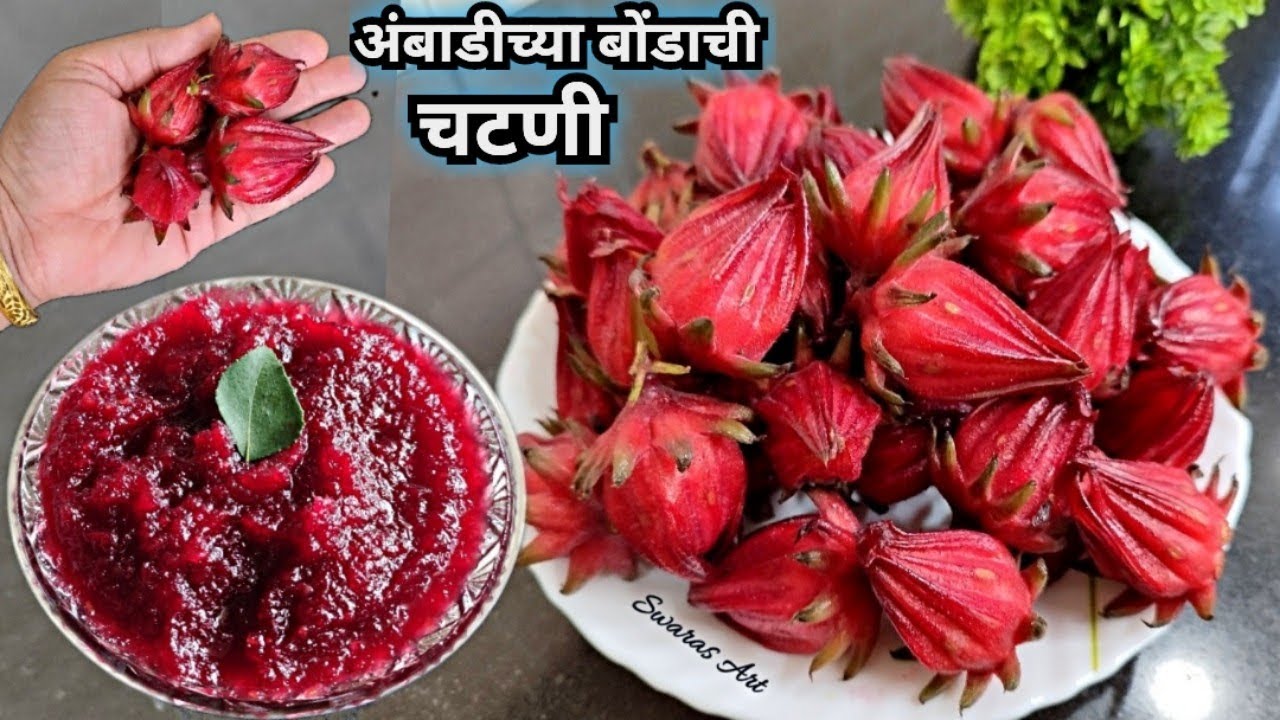  हिवाळा विशेष!!जिभेची चव वाढवणारी चटपटीत अंबाडीच्या लाल बोंडाची चटणी|ambadi bondachi chutney|aamri 