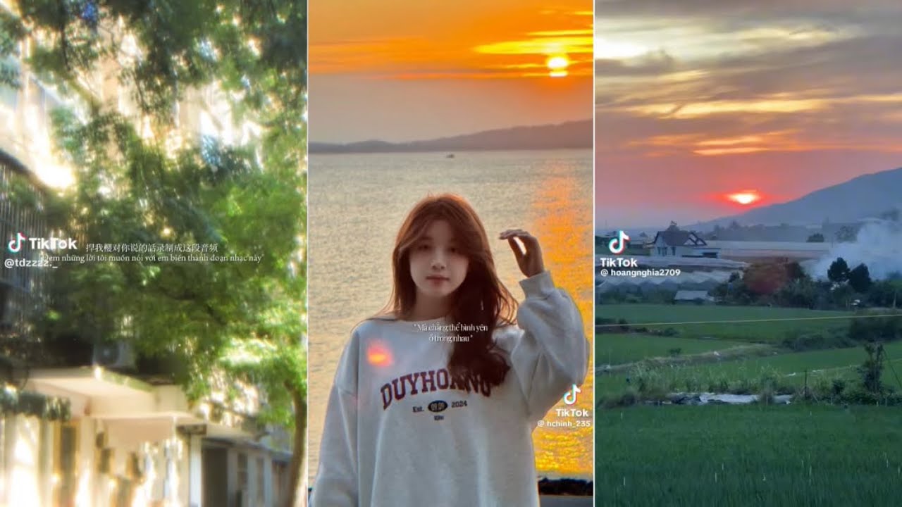 🎵Tổng Hợp Những Bản Nhạc Siu Thư Giãn - #14 | Huynn🌱 #viral #chillmusic