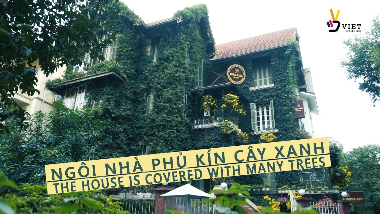 Ngôi nhà phủ kín cây xanh ở Hà Nội / The house is covered with green trees in Hanoi