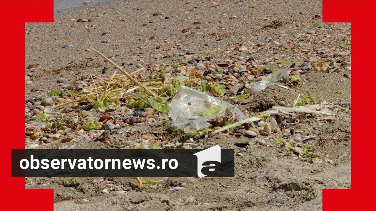 Turistă din Anglia, revoltată după ce a ajuns pe o staţiune a litoralului românesc. 