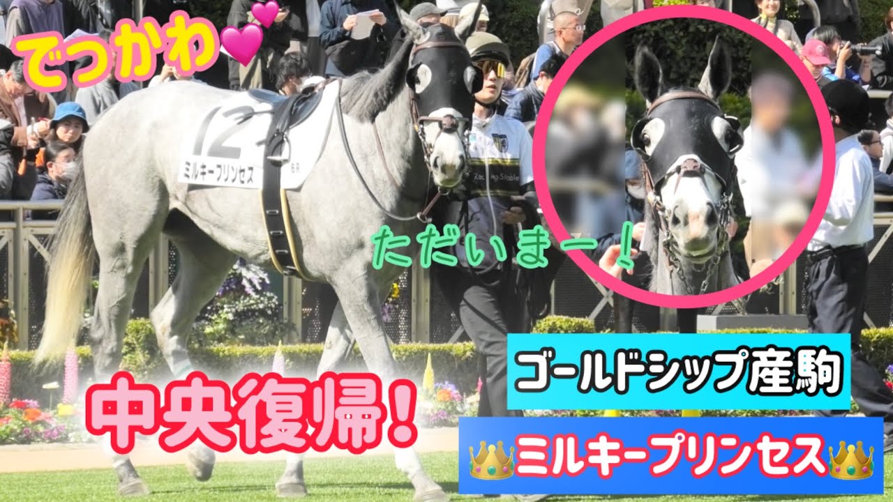 【ゴールドシップ産駒】あの