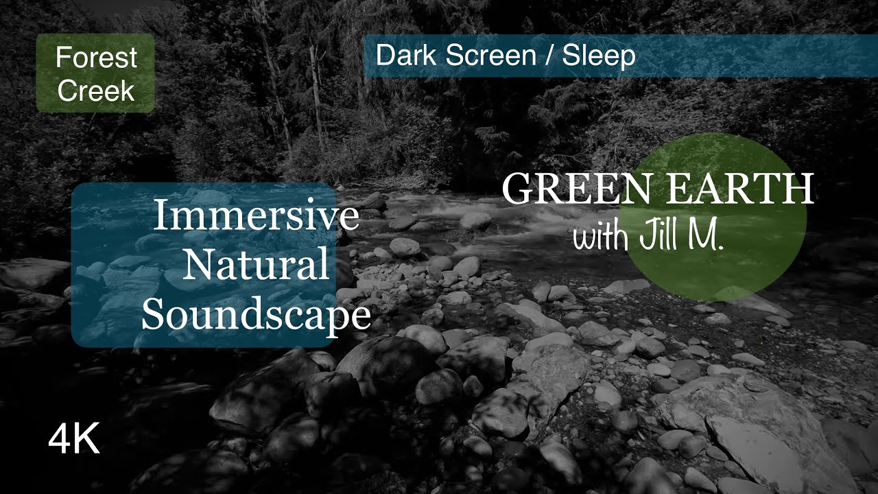 Nature Soundscape:  Forest Creek Flow, Darkened Screen for Rest