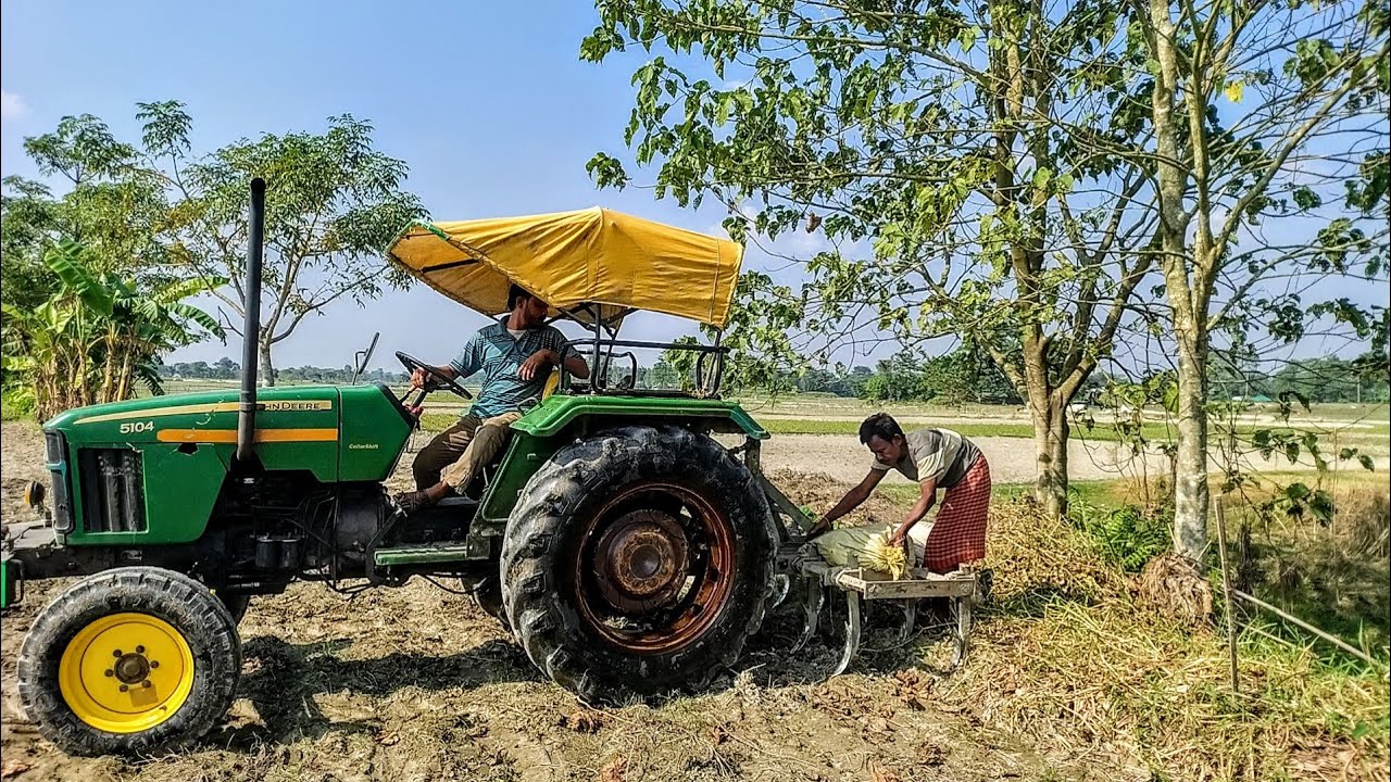 🌾 সকালে নদীতে পাটা ফেললাম, তারপর সরাসরি মাঠে চাষ—ব্যস্ত দিনের শুরু!