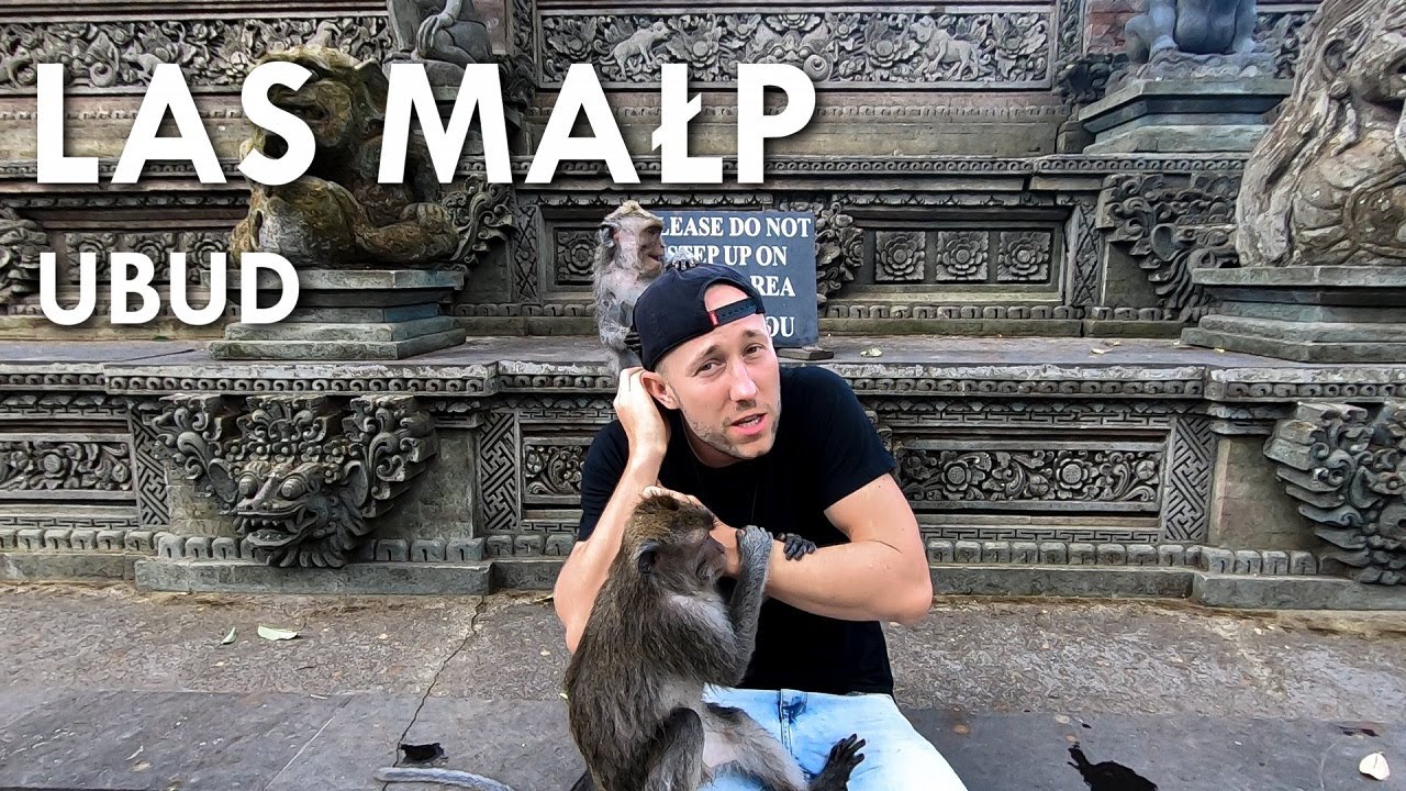 LAS MAŁP BALI | Co zobaczyć w UBUD? | VLOG O BALI