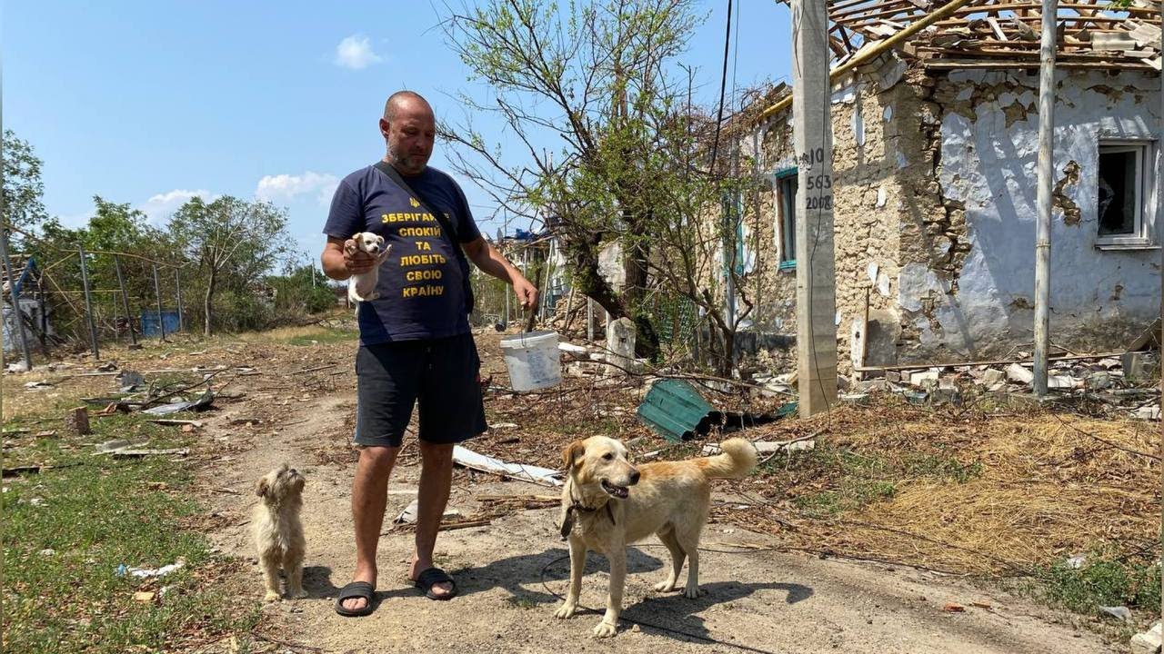 ХЕРСОНЩИНА | КОЗАЦЬКЕ | Евакуація тварин селищ біля окупованої Нової Каховки
