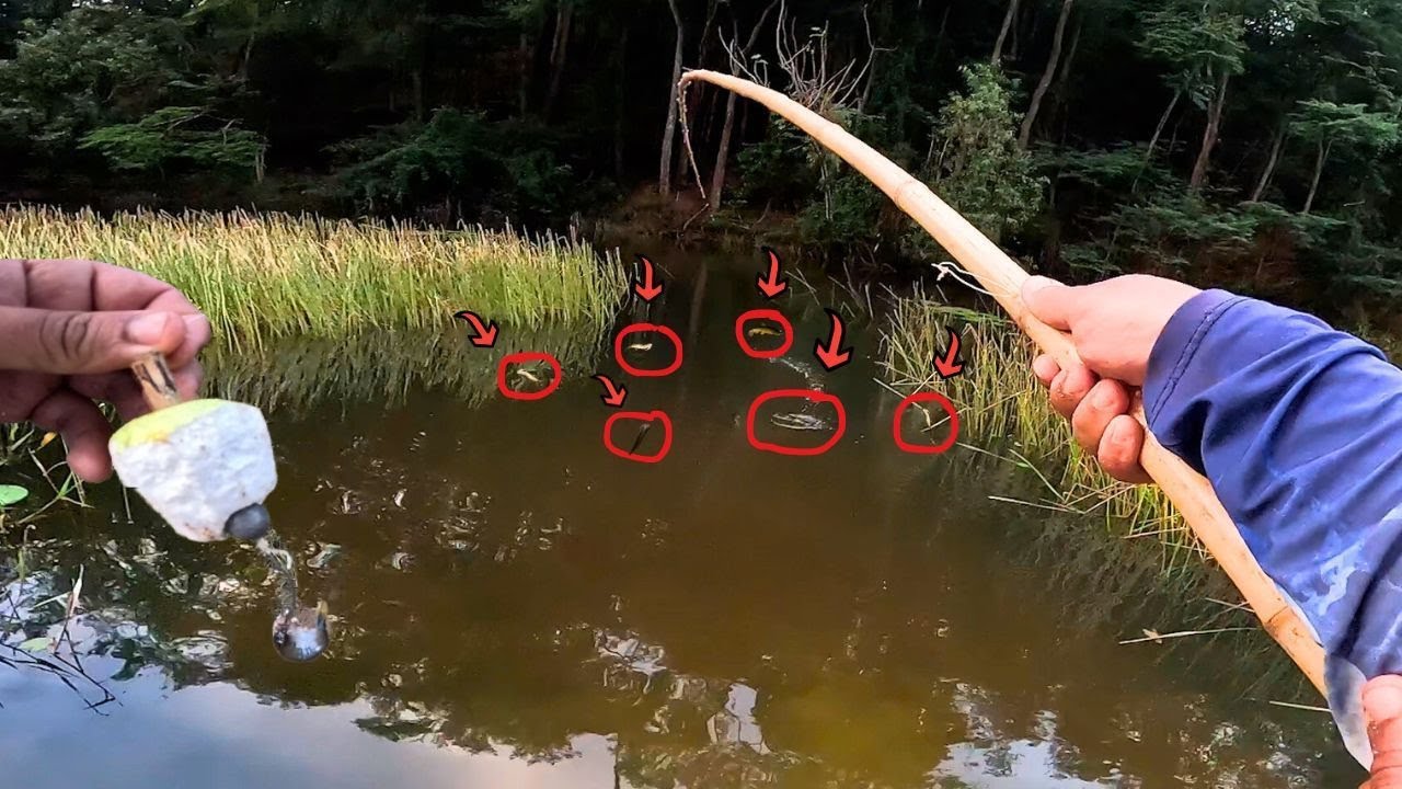 ESTAVA INFESTADO ERA MAIS PEIXE DO QUE ÁGUA NA VARA DE BAMBU! Pescaria Caipira de Traíra