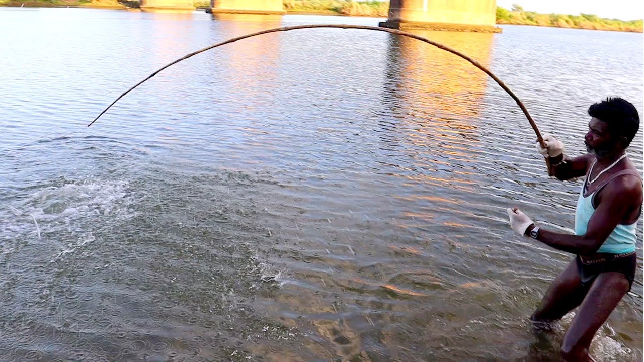 Catch Giant Mullet Fish - Traditional Style