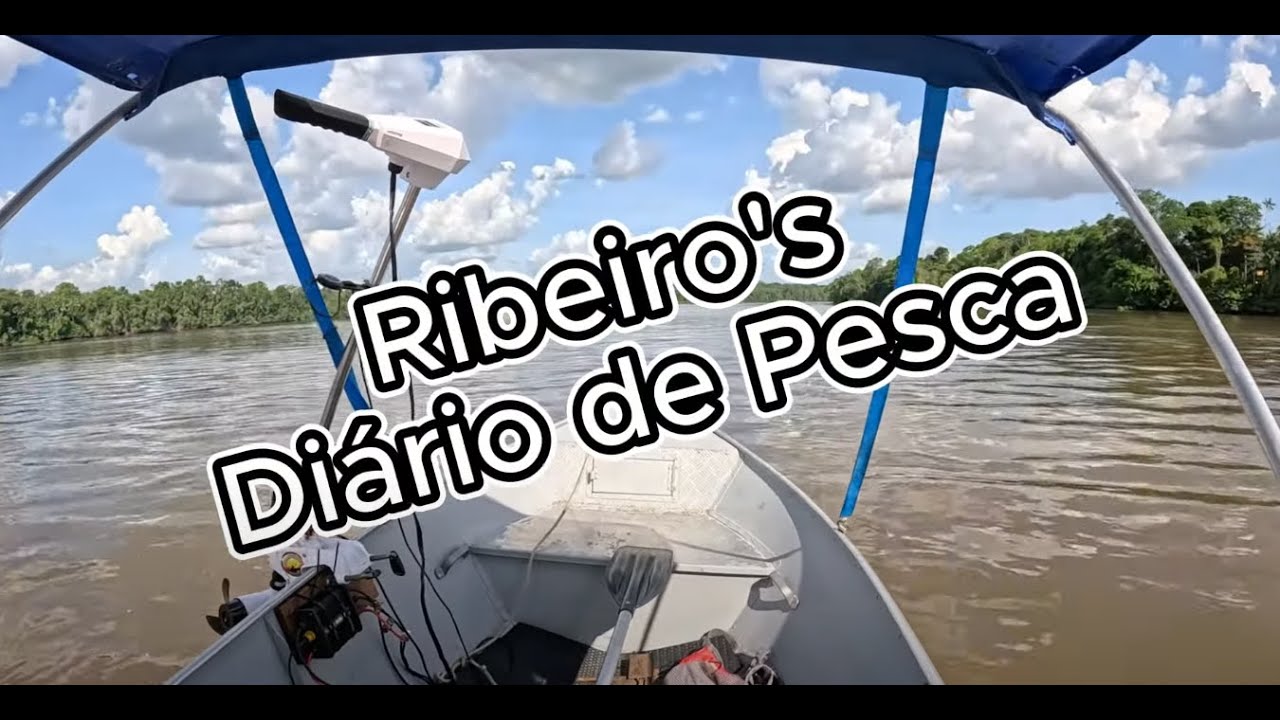 Ribeiro's Diário de Pesca - 07/25 e 08/25: Melhores Momentos Maguarí Belém Pará