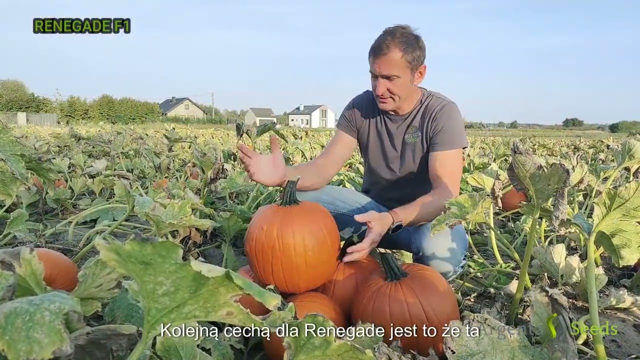 Renegade F1: Mistrz Halloween klasy 6-8kg