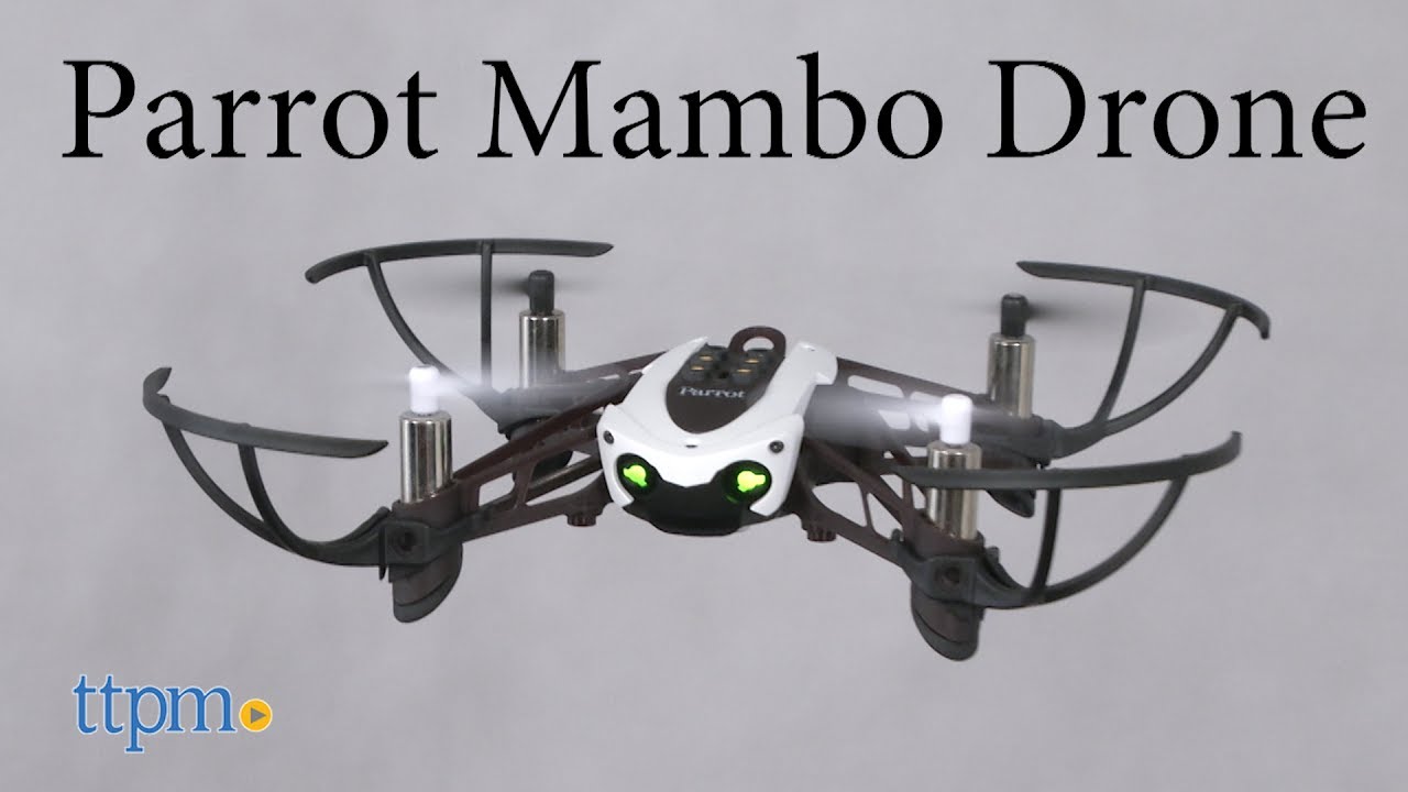 MAMBO from Parrot