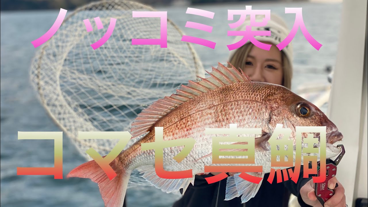沼津真鯛ノッコミ突入　静浦港光進丸