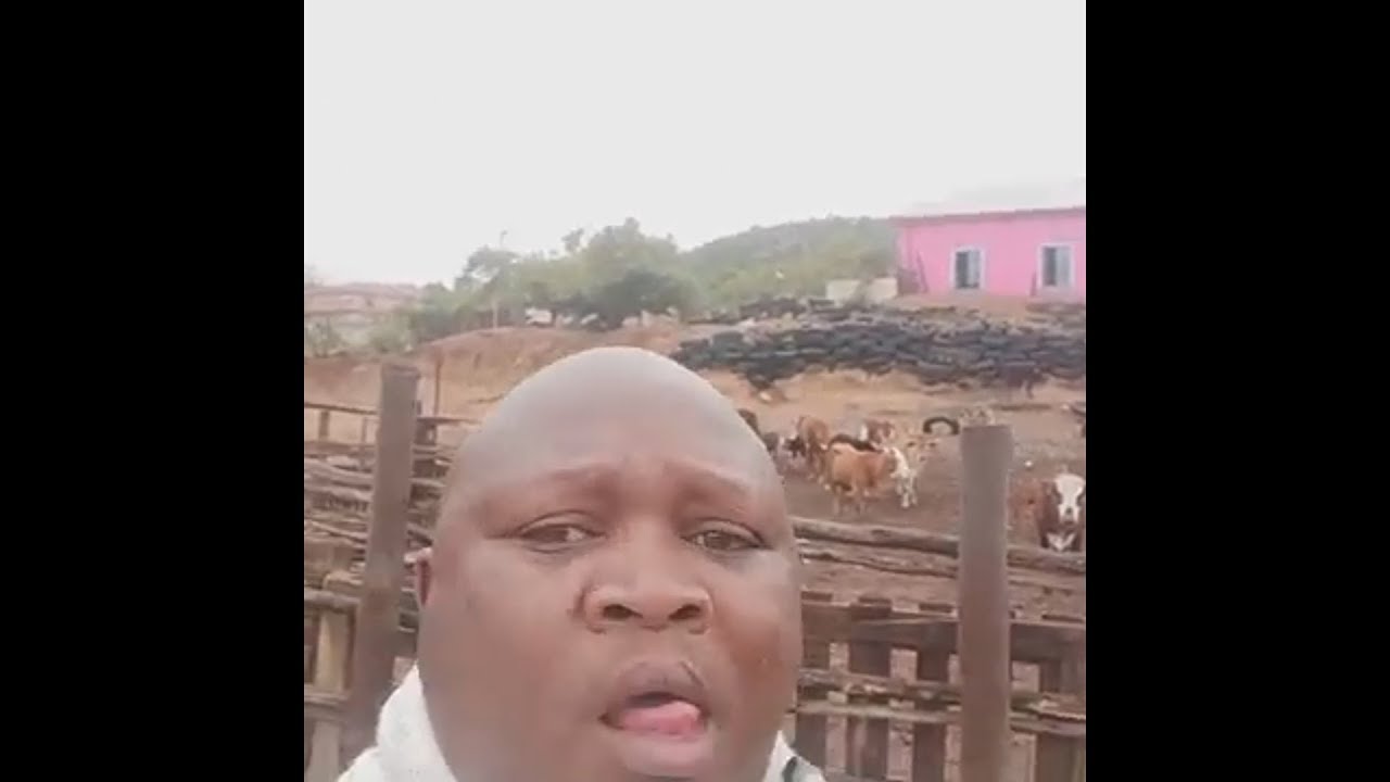 African motivation man IS BACK