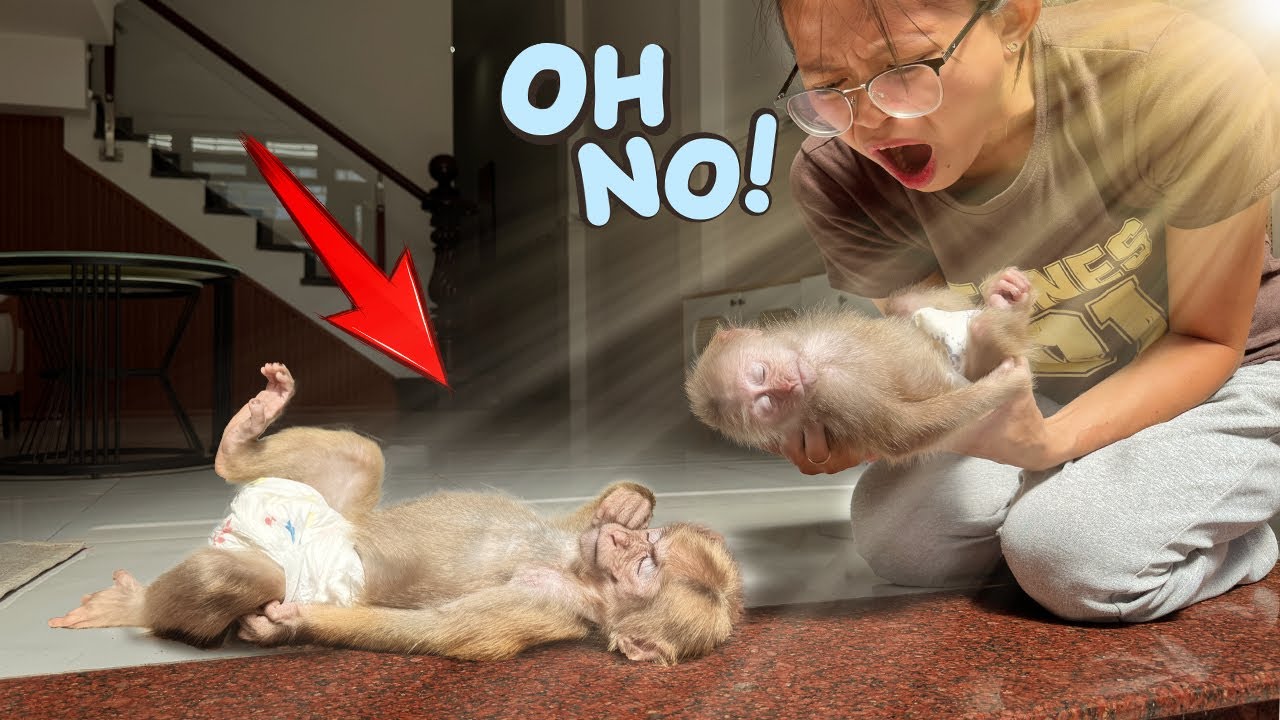 Mom couldn’t stay calm when she saw Lucky and Sunny lying out in front of the door!