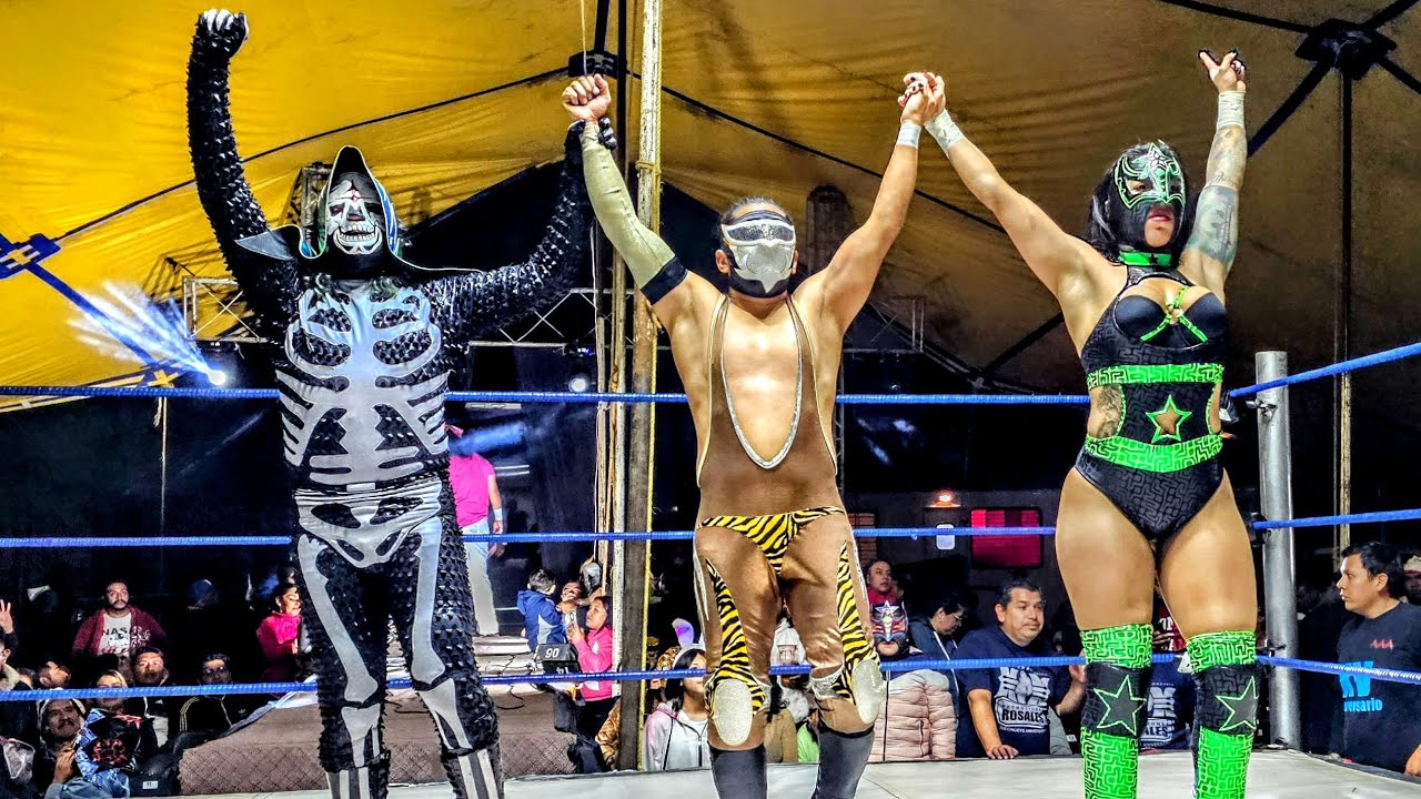 Sexy Star, Cobre y la Parkita Mini Psycho Clown, La Hiedra y Astuto PROMOCIONES ROSALES