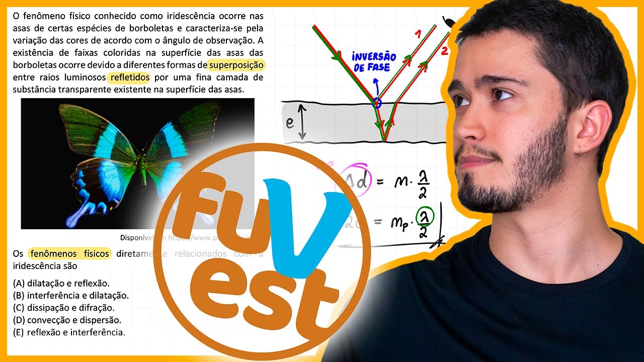 Fuvest 2025 - O fenômeno físico conhecido como iridescência ocorre nas asas de certas espécies de bo