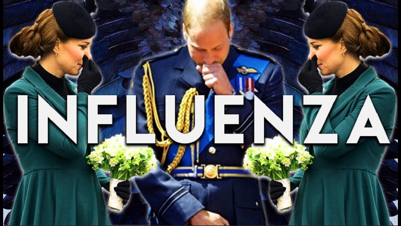 What the Media Won't Tell You About the Flu | reallygraceful