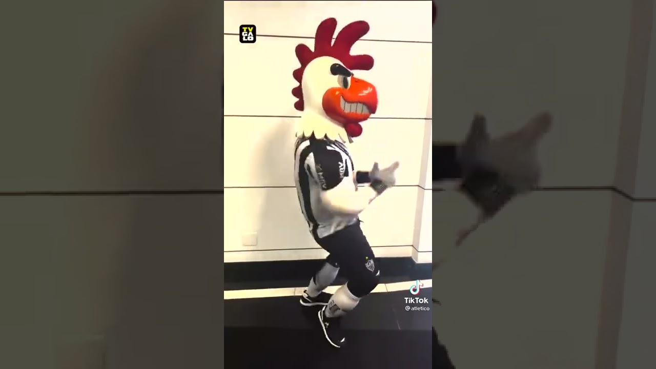 GALO DOIDO GANHOU MAIS VEZ, AI CREDO 💪🐓🏆👊