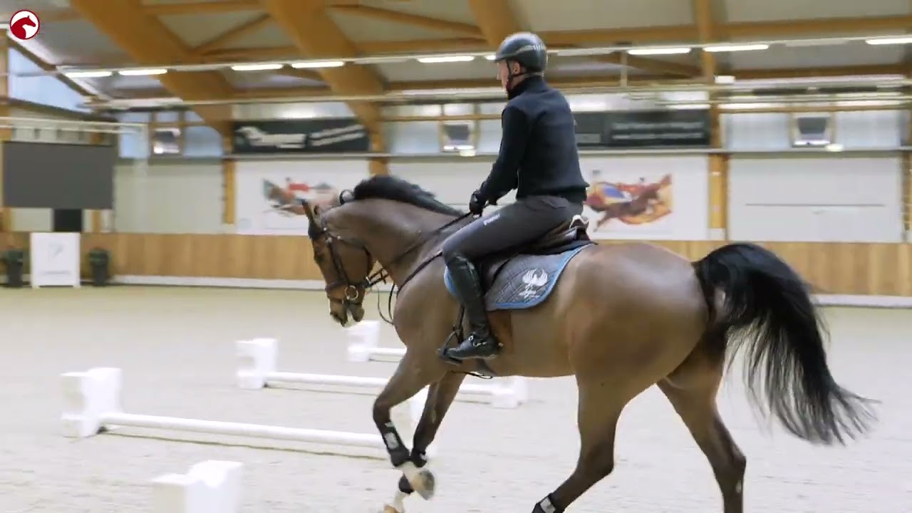 ClipMyHorse TV beerbaum 01