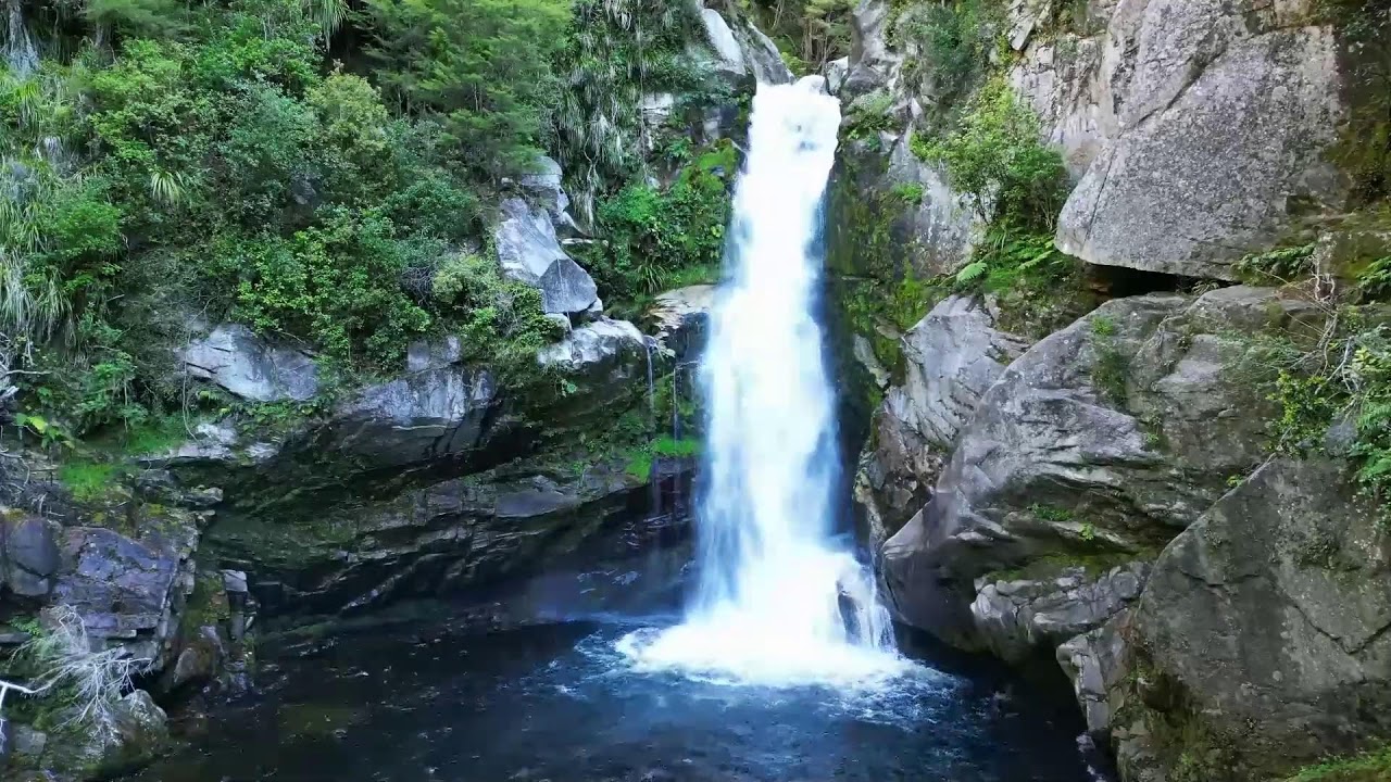 The beauty of nature brings good luck.