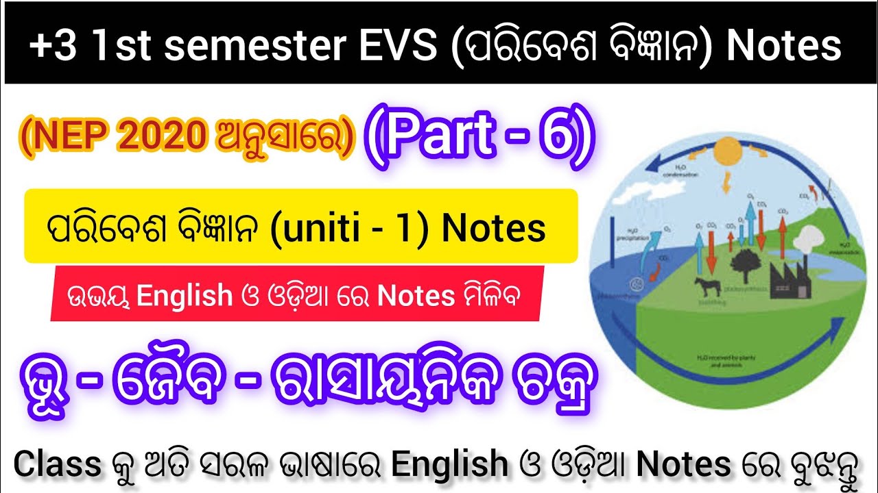 +3 1st Year Compulsory Subject || NEP 2020     EVS NotesBio-geo-chemical Cycles || part - 6 ||