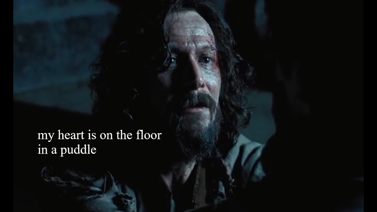 sirius black is actually a softie