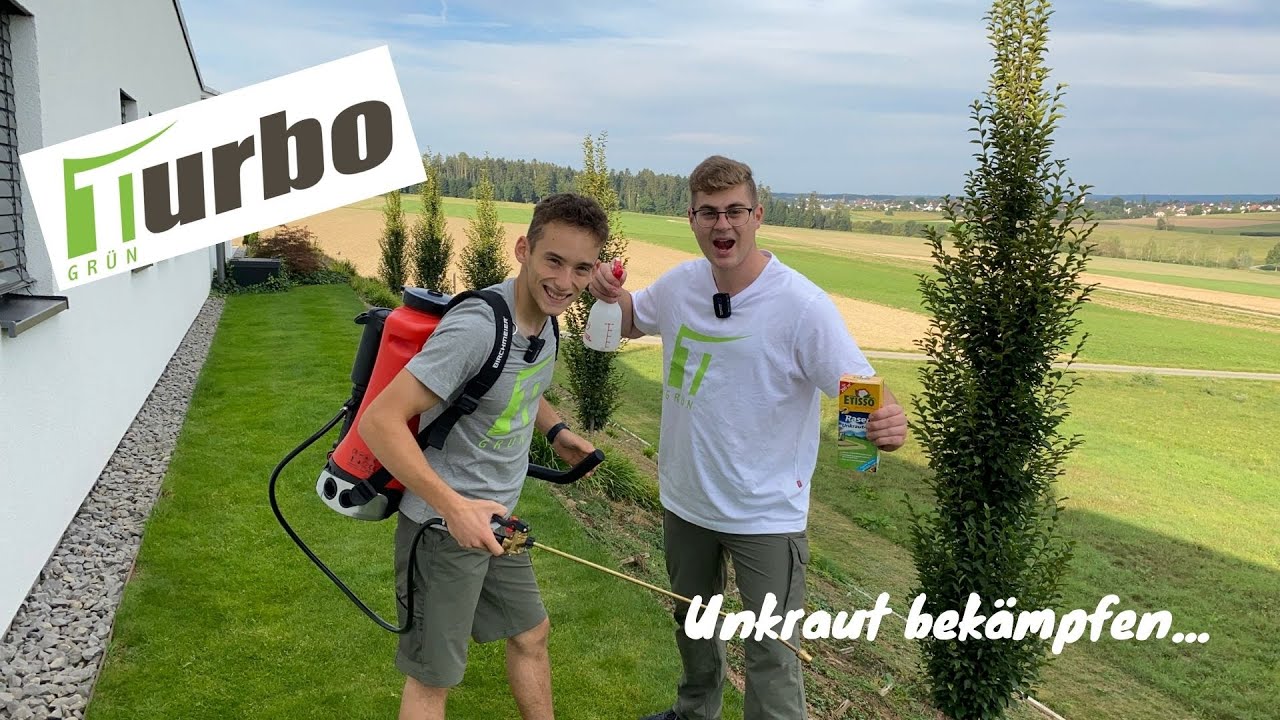 Unkraut entfernen | So gehts! | Turbogrün