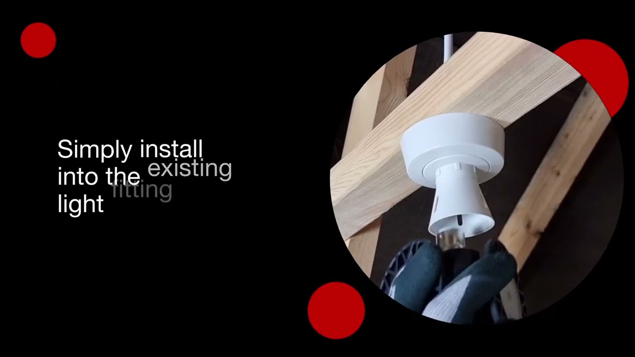 The Loft Bulb by Loft Leg