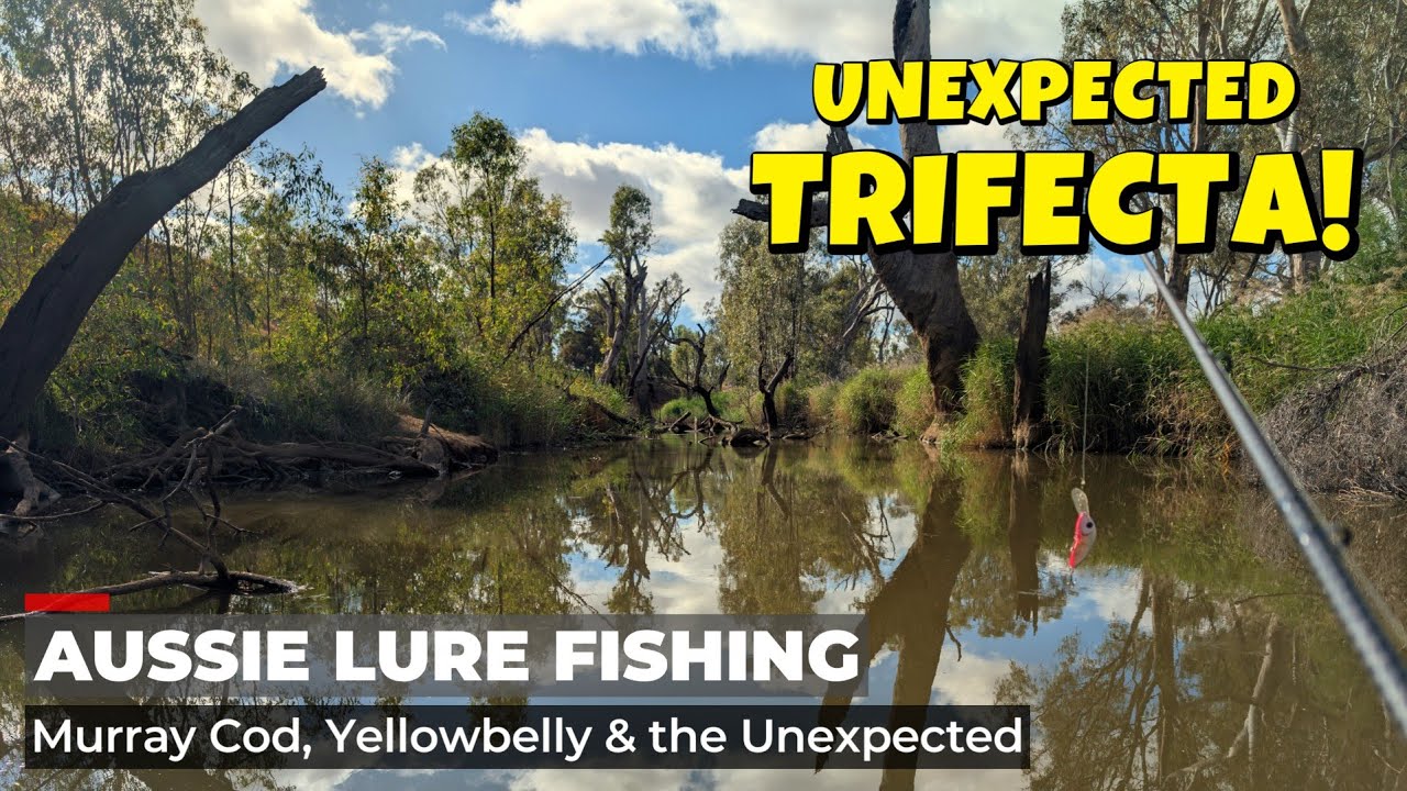 Aussie Fishing Trifecta! Murray Cod & Yellowbelly Smash Lures!