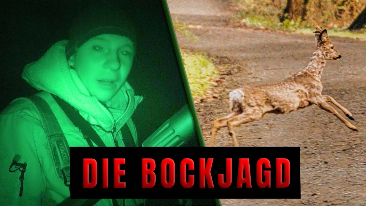 🌿 Die Bockjagd | Niklas on fire