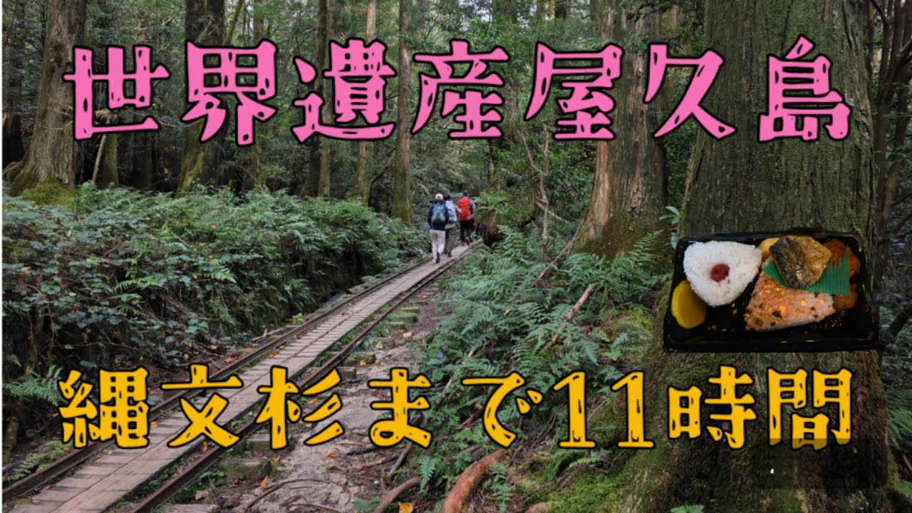 世界遺産屋久島縄文杉まで11時間