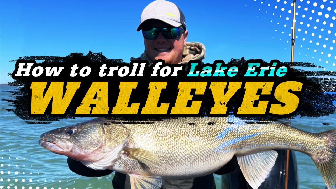 How To Troll For Lake Erie Walleyes | Awesome Action!
